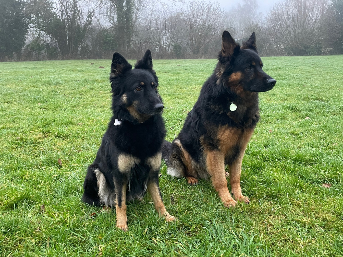 Des Pays Houdanais - Ils se sont mariés